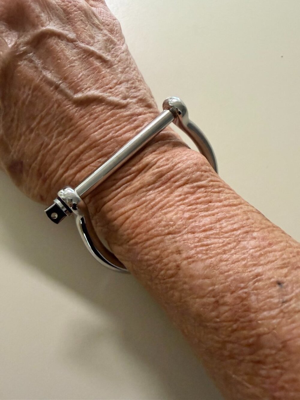 Statement-making silver bracelet with horsebit closure